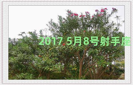 2017 5月8号射手座